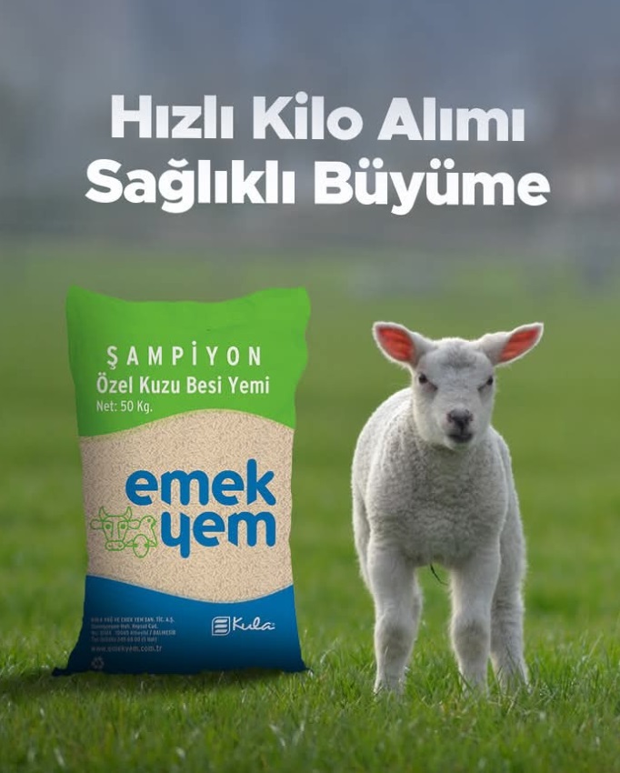 Selocan Ticaret Emek Yem